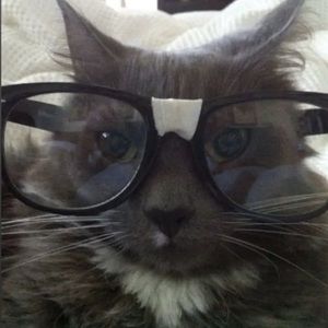 Meet your Posher, Bethany